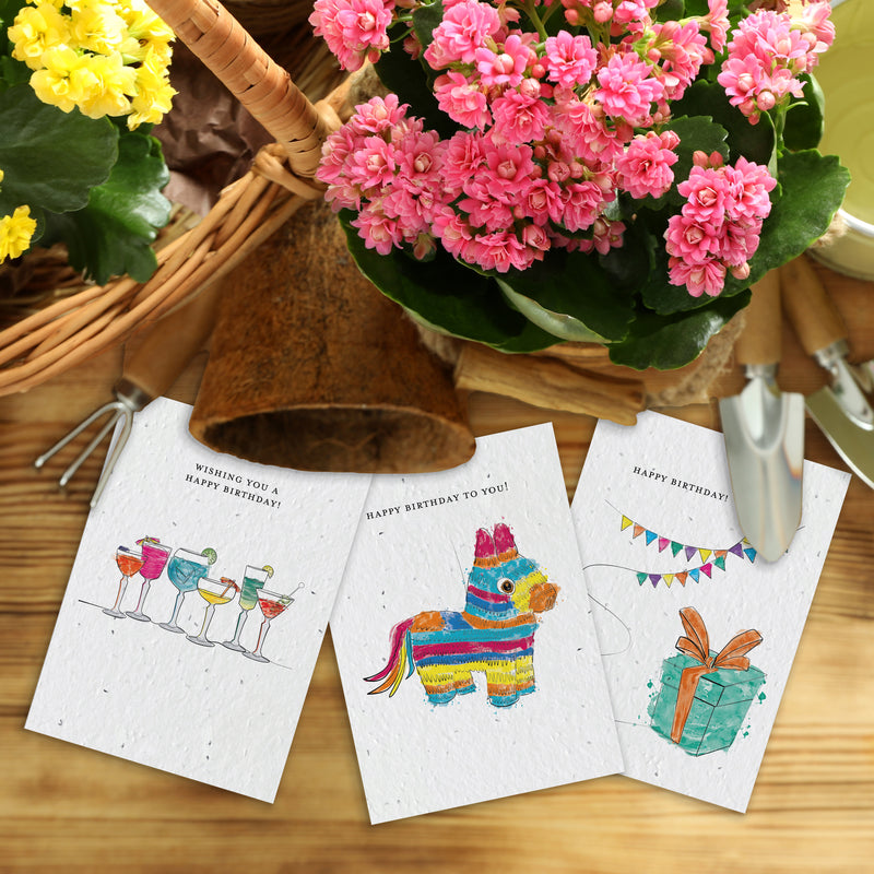 The Seed Card Company