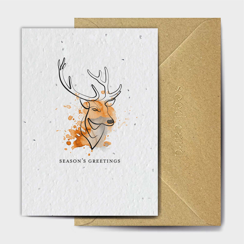 Seed Card Sven