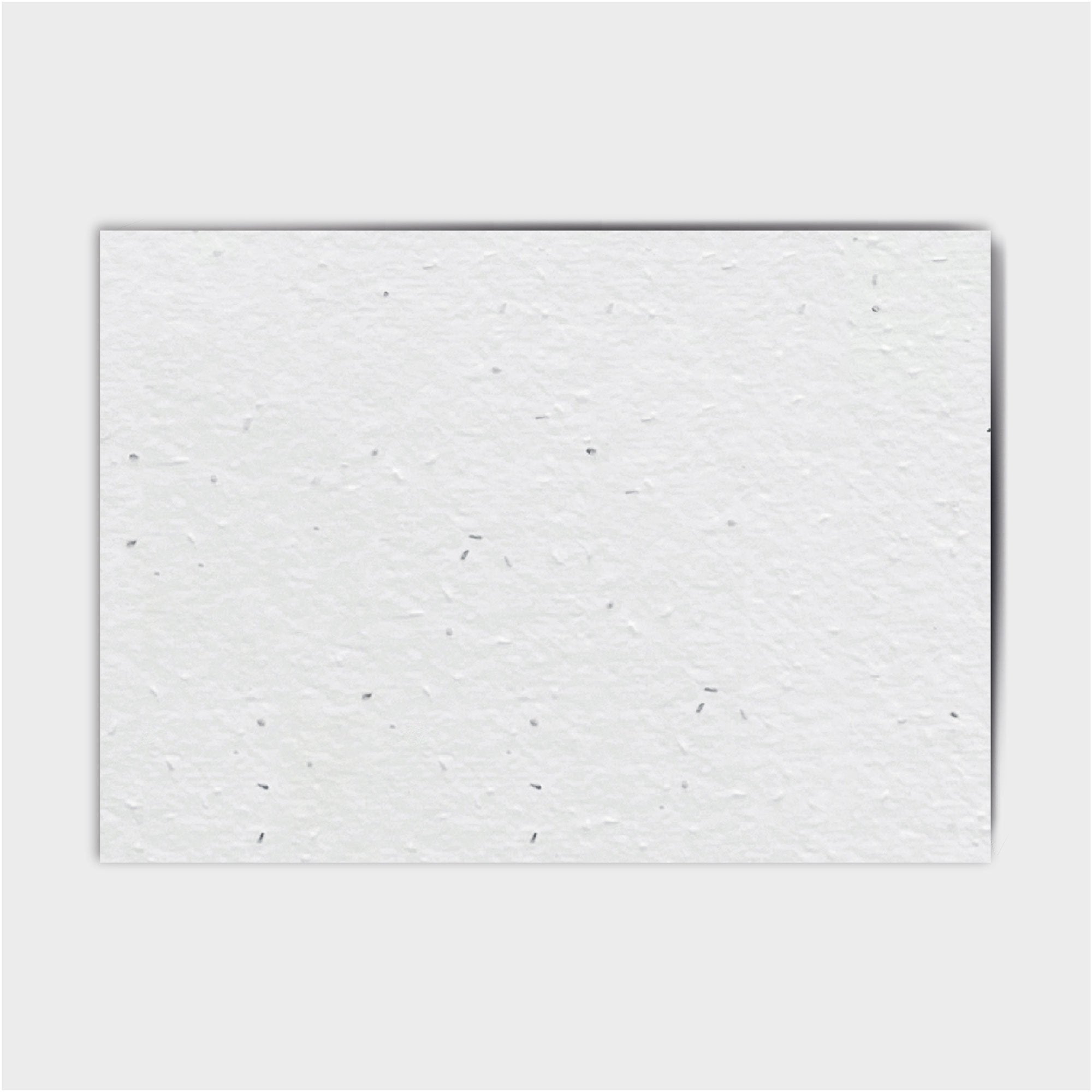 Shop online Alphabotanical - 100% biodegradable seed-embedded cards Shop -The Seed Card Company