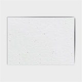 Shop online Alphabotanical - 100% biodegradable seed-embedded cards Shop -The Seed Card Company