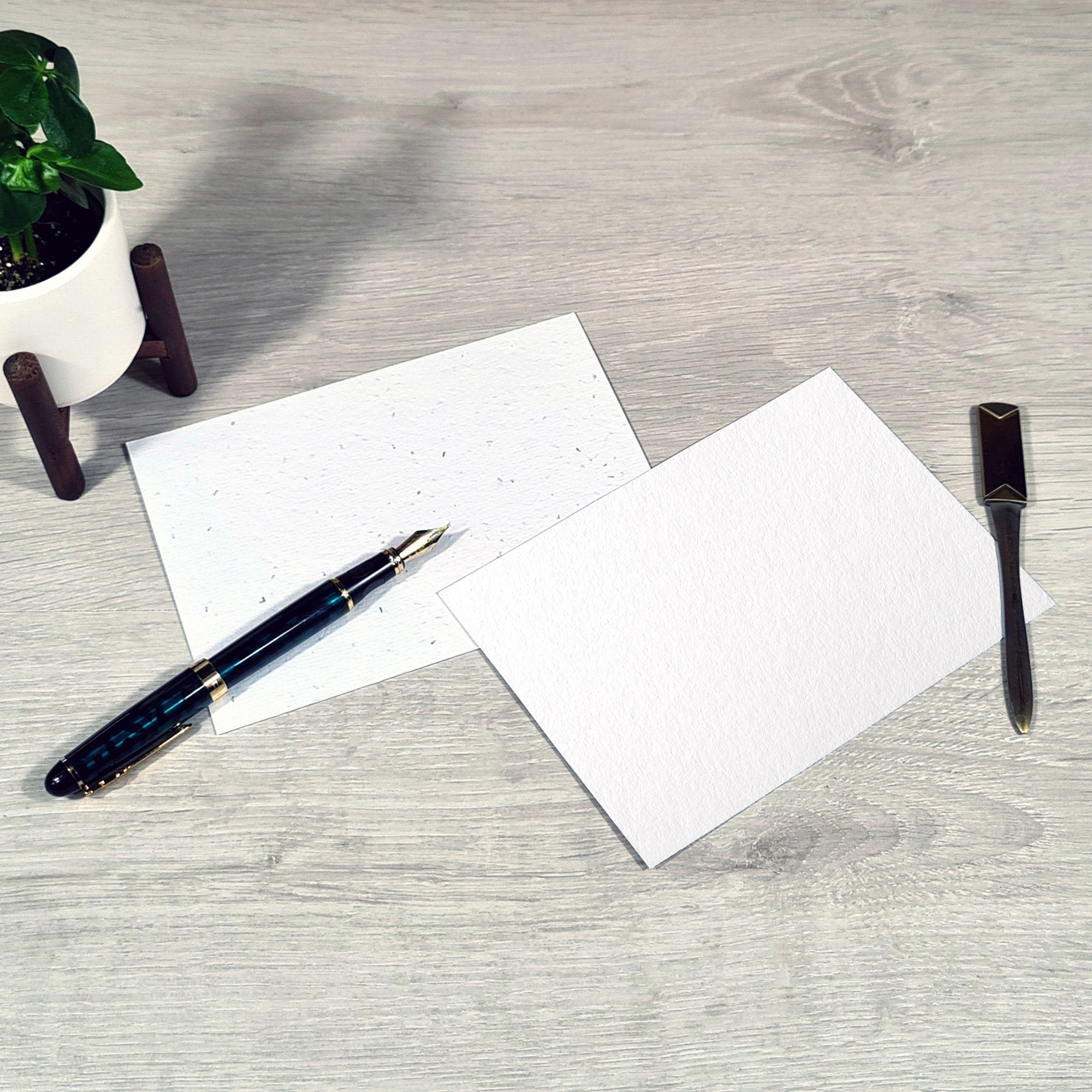 Shop online Alphabotanical - 100% biodegradable seed-embedded cards Shop -The Seed Card Company