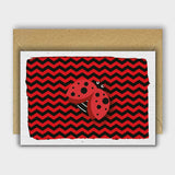 Kyles Ladybird