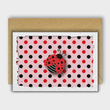 Kyles Ladybird
