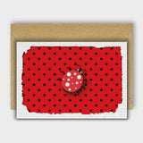 Kyles Ladybird