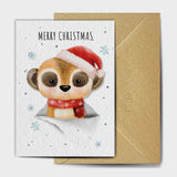 Meerkat Alone