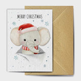 Dumbo-mas