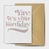 Shop online Dotty Birthyay - 100% biodegradable seed-embedded cards Shop -The Seed Card Company