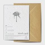 Shop online Does Not Contain Holly Seeds - 100% biodegradable seed-embedded cards Shop -The Seed Card Company