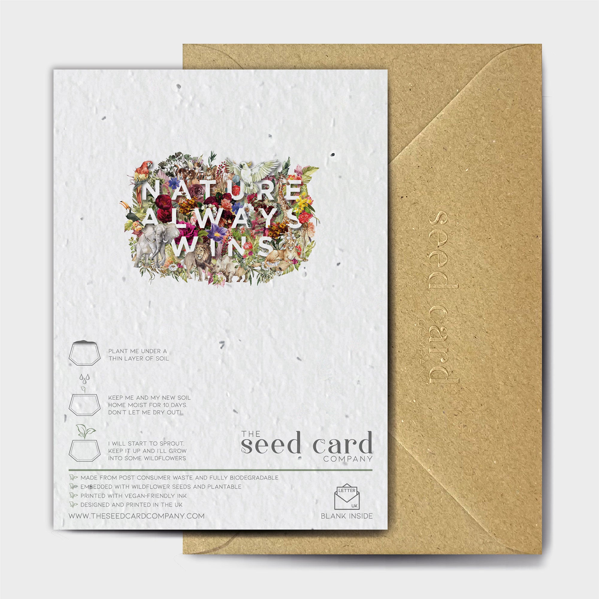 Shop online Bear, Bold & Blue - 100% biodegradable seed-embedded cards Shop -The Seed Card Company