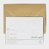 Shop online Peaches & Cream - 100% biodegradable seed-embedded cards Shop -The Seed Card Company