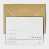 Shop online A Handwritten Thank You - 100% biodegradable seed-embedded cards Shop -The Seed Card Company