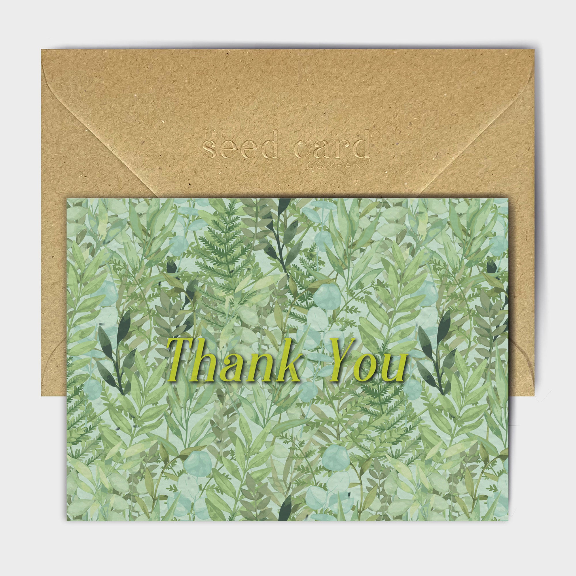 Shop online Ferns & Thanks - 100% biodegradable seed-embedded cards Shop -The Seed Card Company