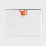 Shop online Orange Messes - 100% biodegradable seed-embedded cards Shop -The Seed Card Company