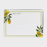 Shop online Lemon and Lime - 100% biodegradable seed-embedded cards Shop -The Seed Card Company