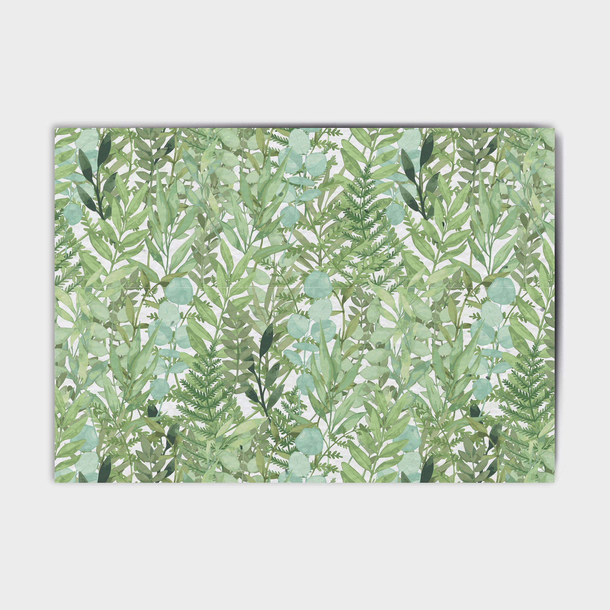 Shop online Forest Ferns - 100% biodegradable seed-embedded cards Shop -The Seed Card Company