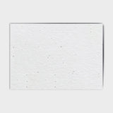 Shop online Snuffles - 100% biodegradable seed-embedded cards Shop -The Seed Card Company