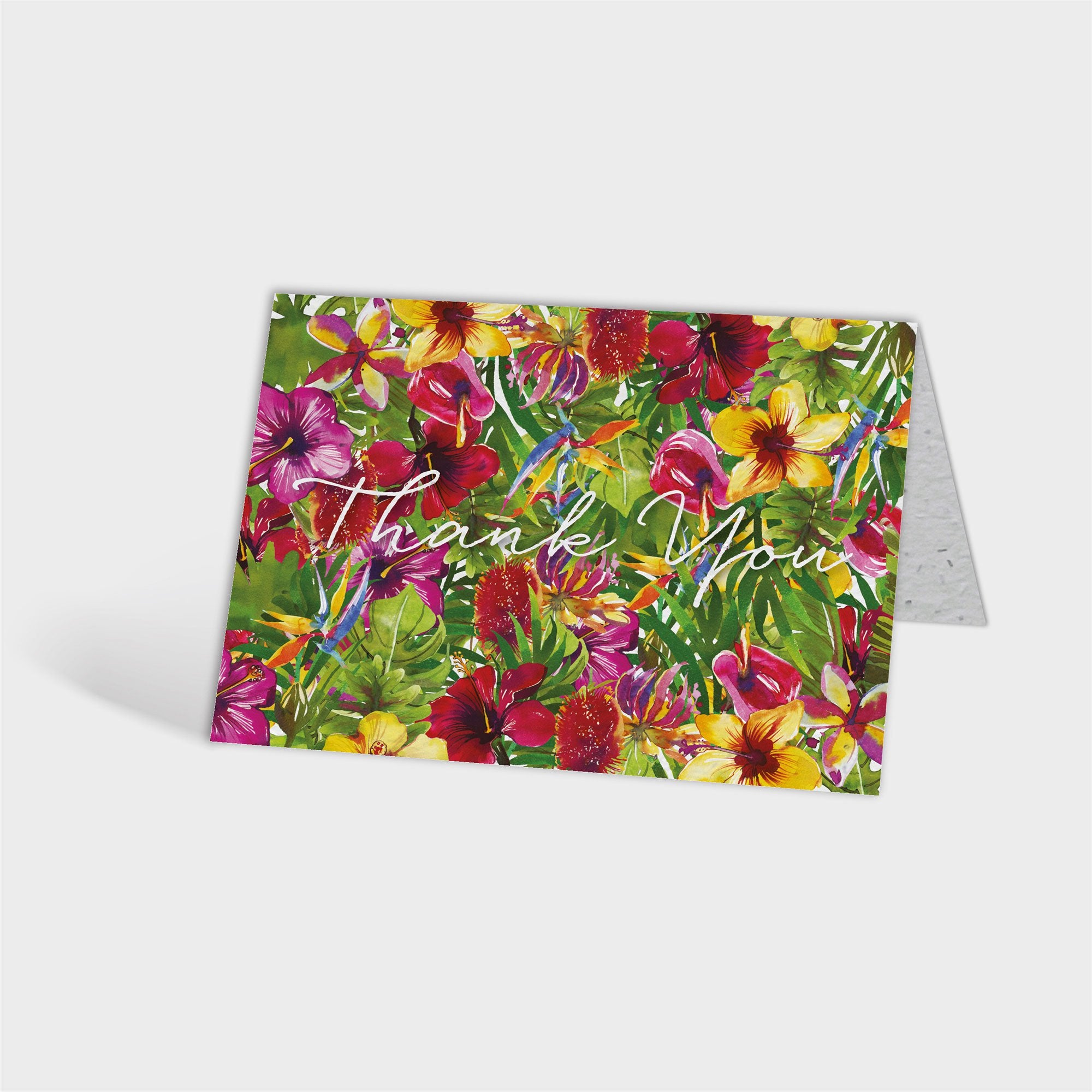 Shop online Summer Sensations - 100% biodegradable seed-embedded cards Shop -The Seed Card Company