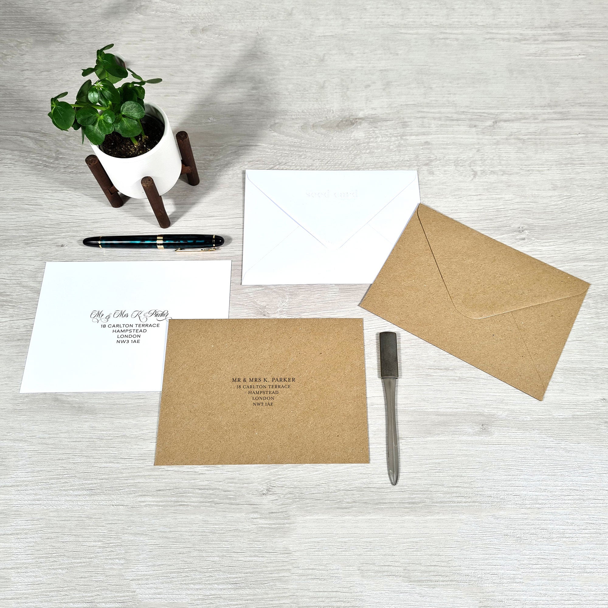 Shop online Tradition - 100% biodegradable seed-embedded cards Shop -The Seed Card Company